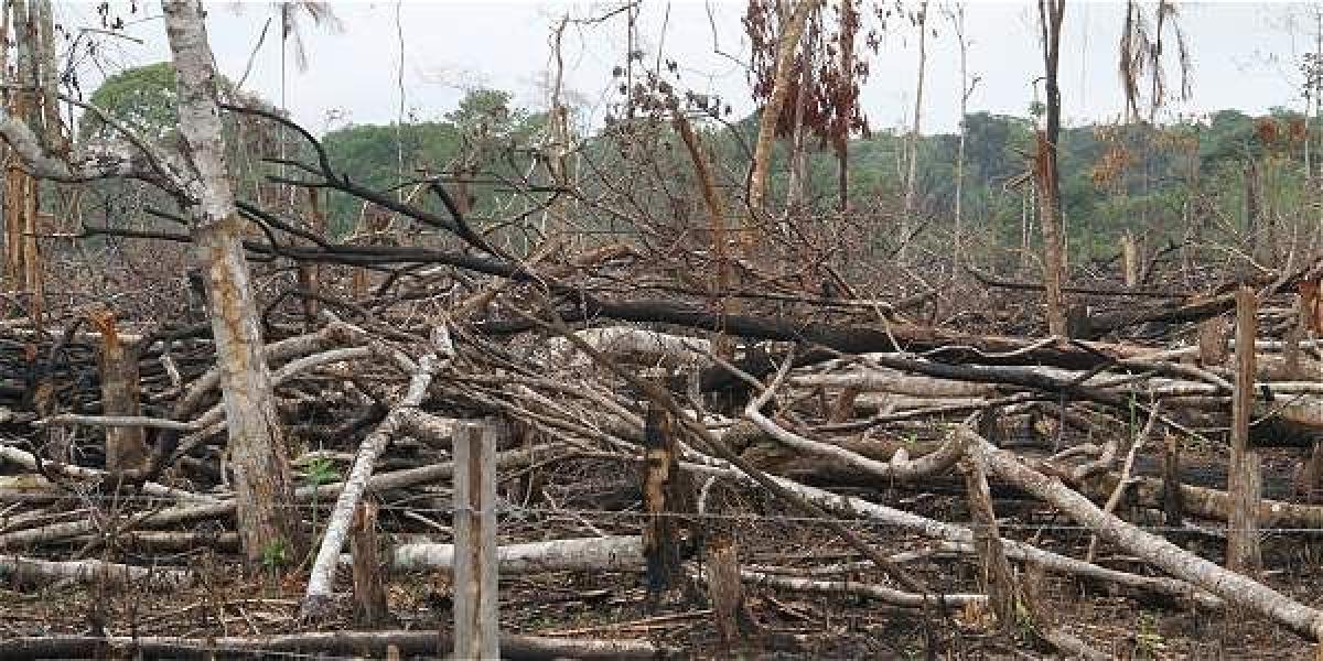 Deforestación en La Uribe, Meta.