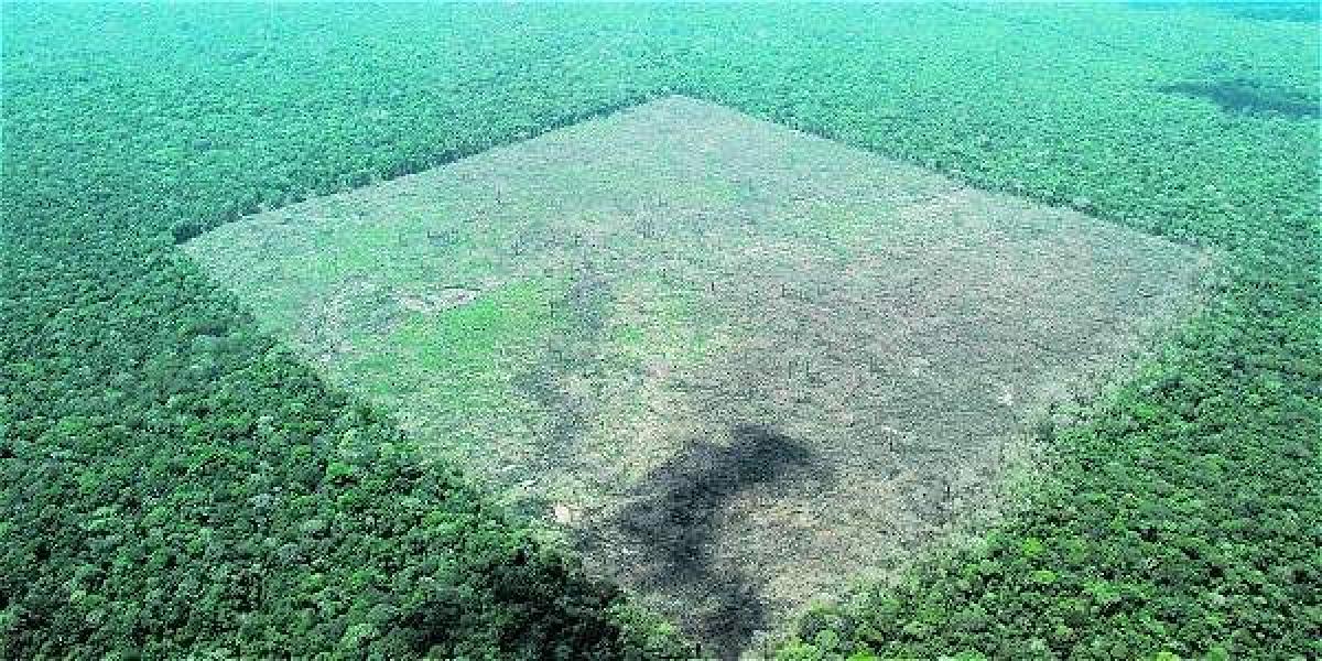 Esta imagen capturada en las selvas de Caquetá tiene una extensión similar a la de siete canchas de fútbol.