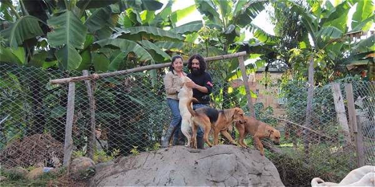 La Fundación Uña Negra alberga a más de 30 perros en Silvania (Cundinamarca).