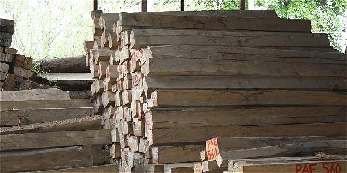 Gran parte de la madera incautada proviene del departamento del Chocó y del sur del país, dice la Policía Ambiental.