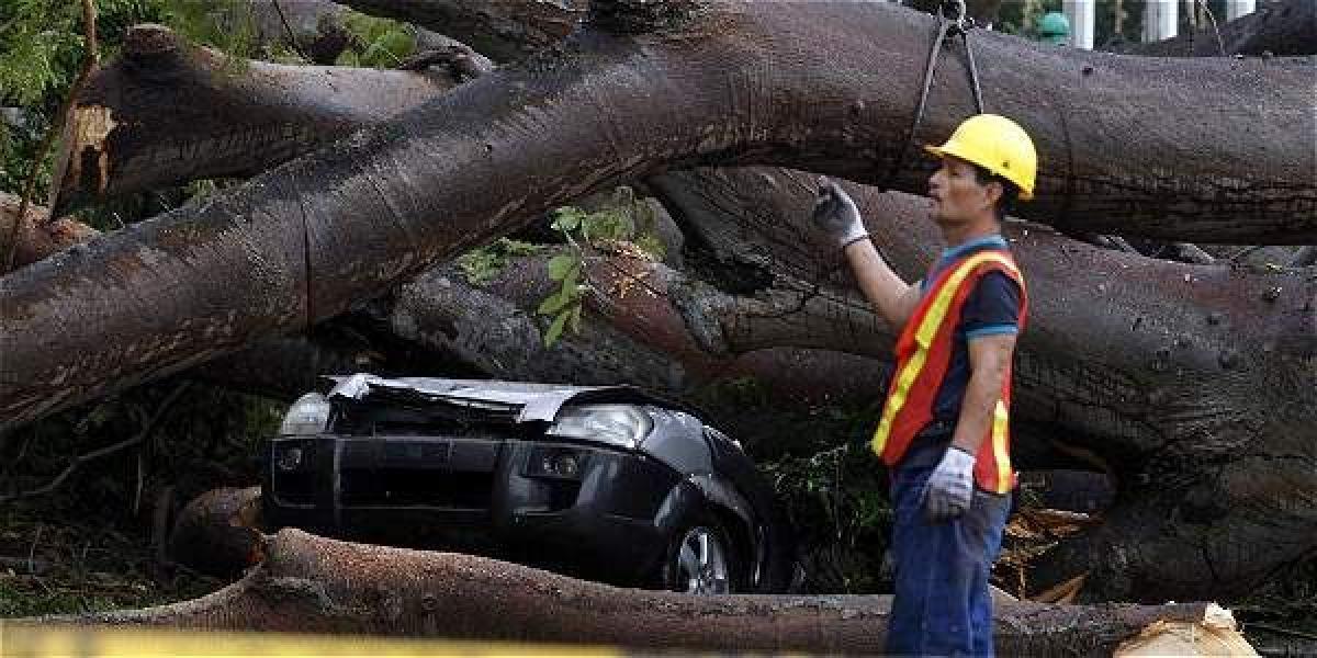 El paso del huracán Otto dejaba ayer tres muertos en Panamá. Una de las víctimas fatales era un niño que se encontraba dentro de un vehículo que fue aplastado por la caída del un árbol.