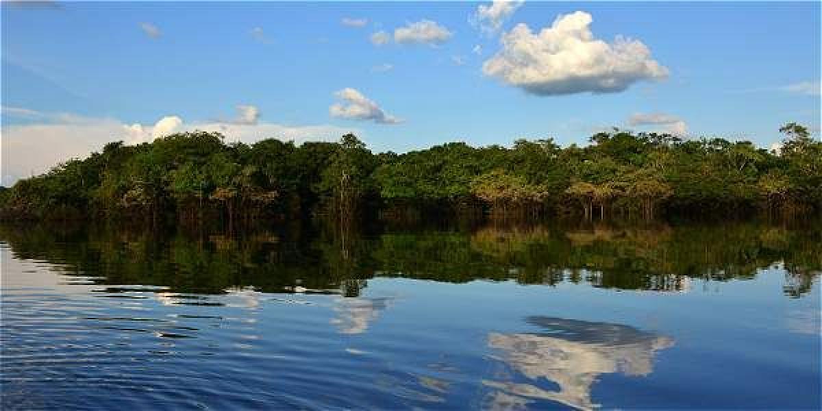 La laguna de la Bruja, un espejo de agua bordeado por la selva exuberante. Queda a diez minutos en lancha desde Inírida. Es el reino del silencio y de la belleza pura.