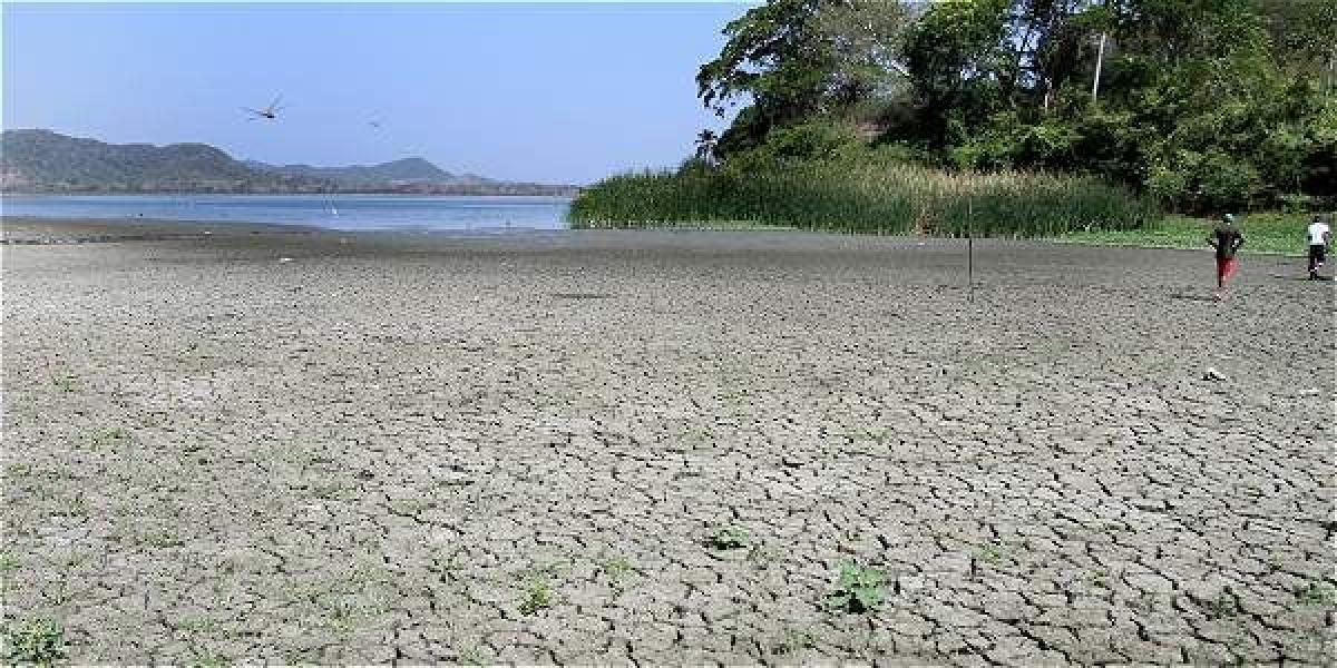 Los problemas de sedimentación de la Laguna de Luruaco afectan la captación de agua del acueducto.