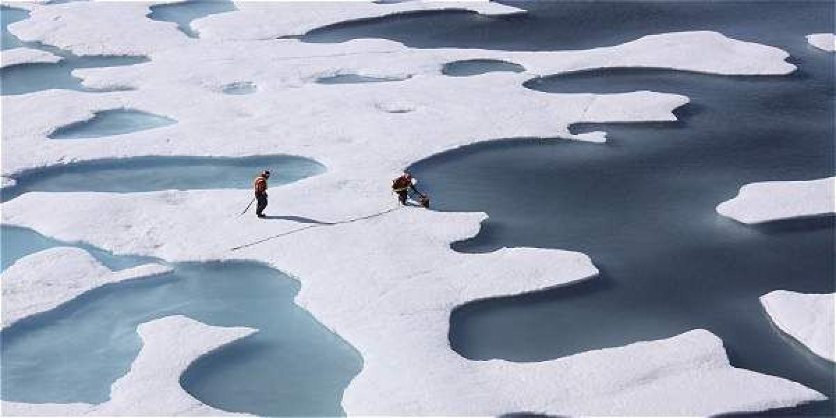 Los ecosistemas del Ártico están cambiando en formas dramáticas: el hielo se está derritiendo, los niveles del mar están creciendo y las áreas costeras están erosionadas.