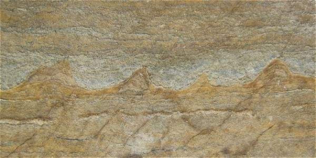 Imagen del fósil publicada por la revista Nature.