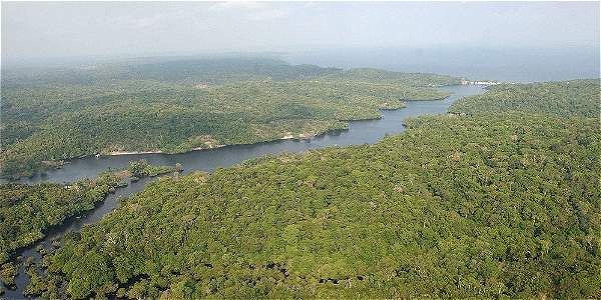 El gran bioma amazónico es compartido por  nueve países amazónicos: Brasil, Colombia, Bolivia, Perú, Ecuador, Guyana, Guyana Francesa y Surinam.