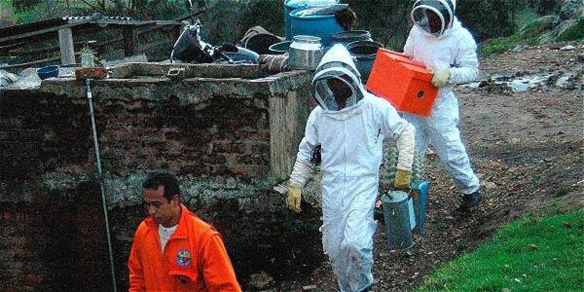Este año, según los Bomberos de Santa Rosa de Lima, Bolívar, se han registrado 432 emergencias por ataques de abejas.