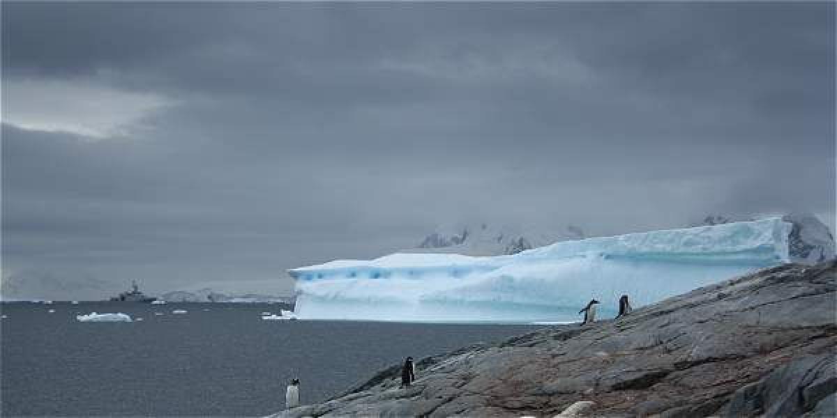 Imagen de la Antártida / Cortesía Armada Nacional.