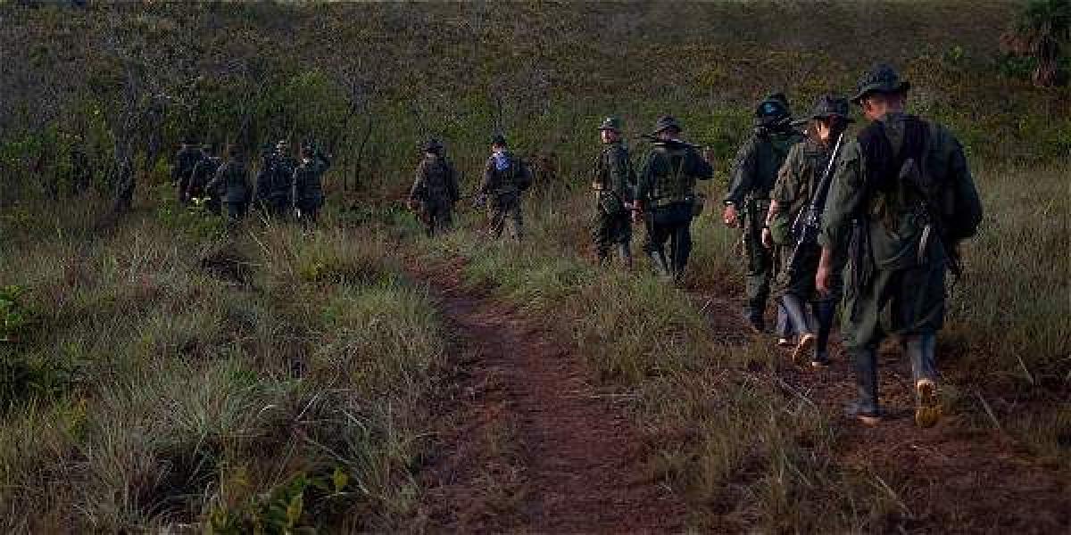 En Chocó hay alerta por los combates entre Eln y 'los Úsuga'. Allí era fuerte el frente 'Aurelio Rodríguez' de las Farc.