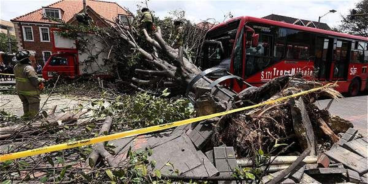Este accidente, por la caída de un árbol, se registró en la avenida Caracas con calle 39. No hubo lesionados.
