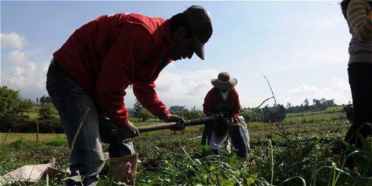 La raíz del conflicto colombiano se ha nutrido del conflicto agrario.