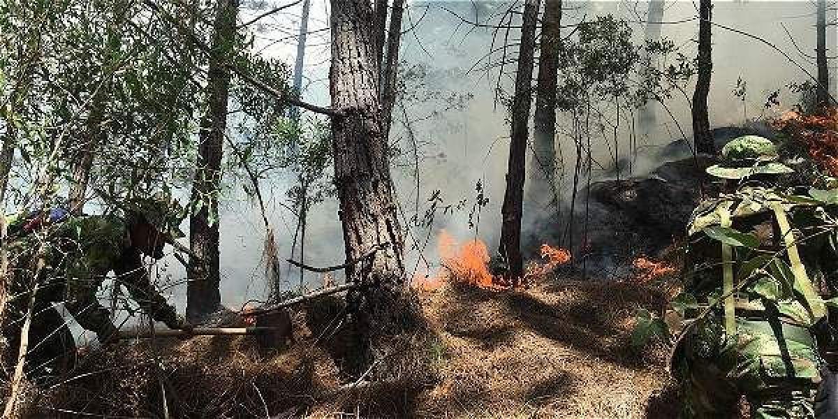 Tras 26 horas, no ha sido posible apagar las llamas del incendio del cerro Quitasol, en Bello.