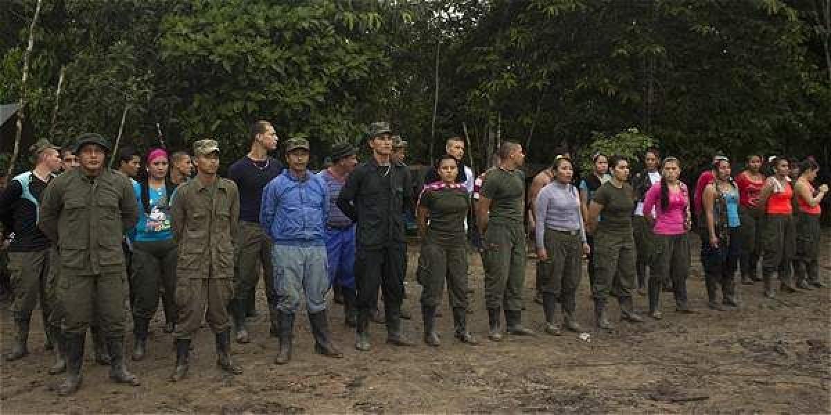 Guerrilleros del frente 32 de las Farc, en zona rural de Caquetá ya comenzaron el proceso de preconcentración para movilizarse a la zona de ubicación.