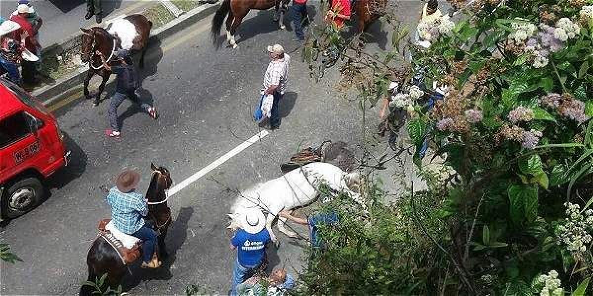 Autoridades manifestaron que uno de los caballos murió por una caída y otro sufrió un infarto.