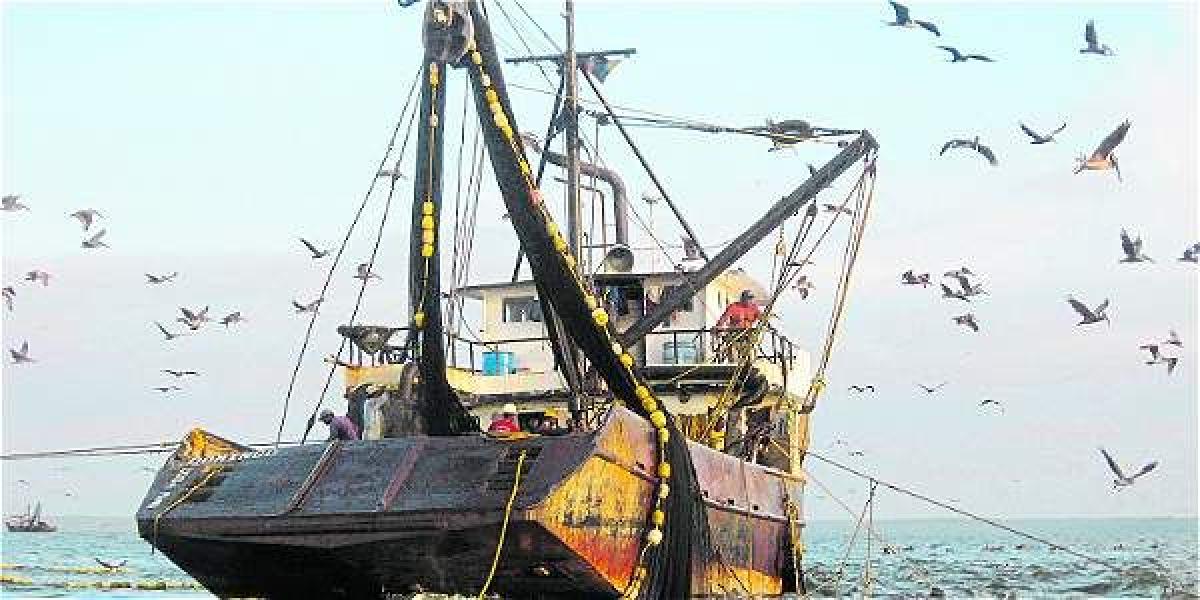 Cada barco palangrero puede pescar unas 200 toneladas al mes en el Caribe colombiano. Muchas se desperdician. Las autoridades no hacen nada para detenerlos.