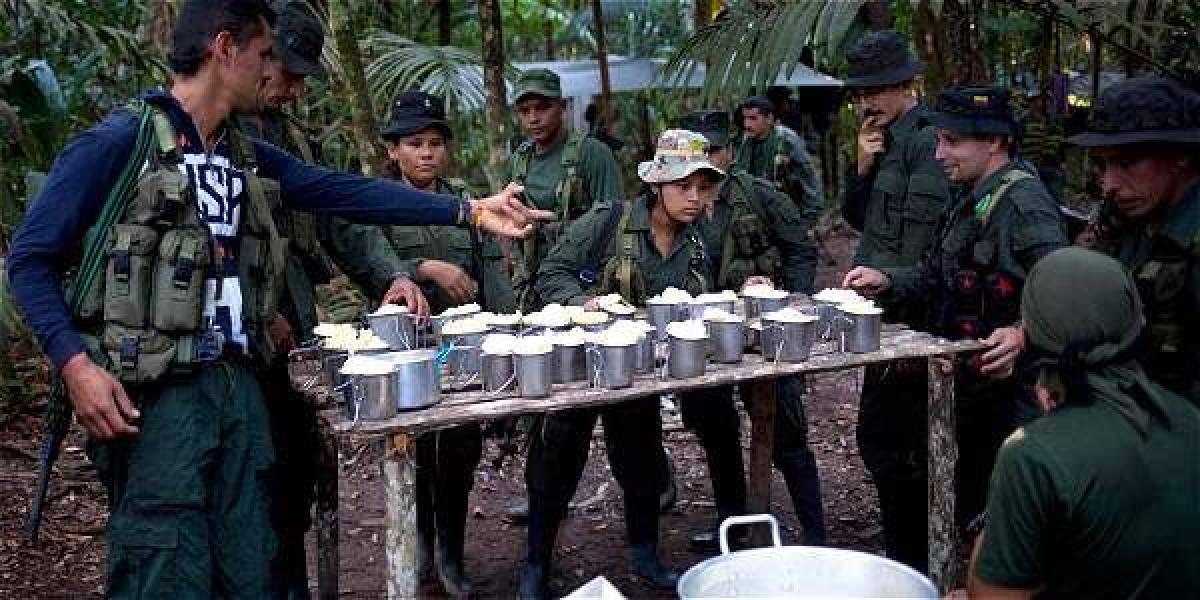 Guerrilleros del frente 'Felipe Rincón' reciben los alimentos en un campamento en las selvas de Yarí entre Meta y Caquetá.