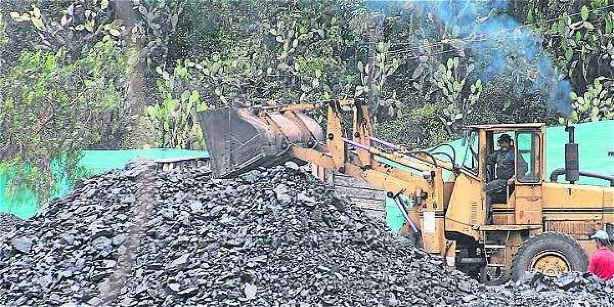 La producción de carbón proveniente de los departamentos del interior del país presentó un repunte importante", señaló Silvana Habib, presidente de la ANM.