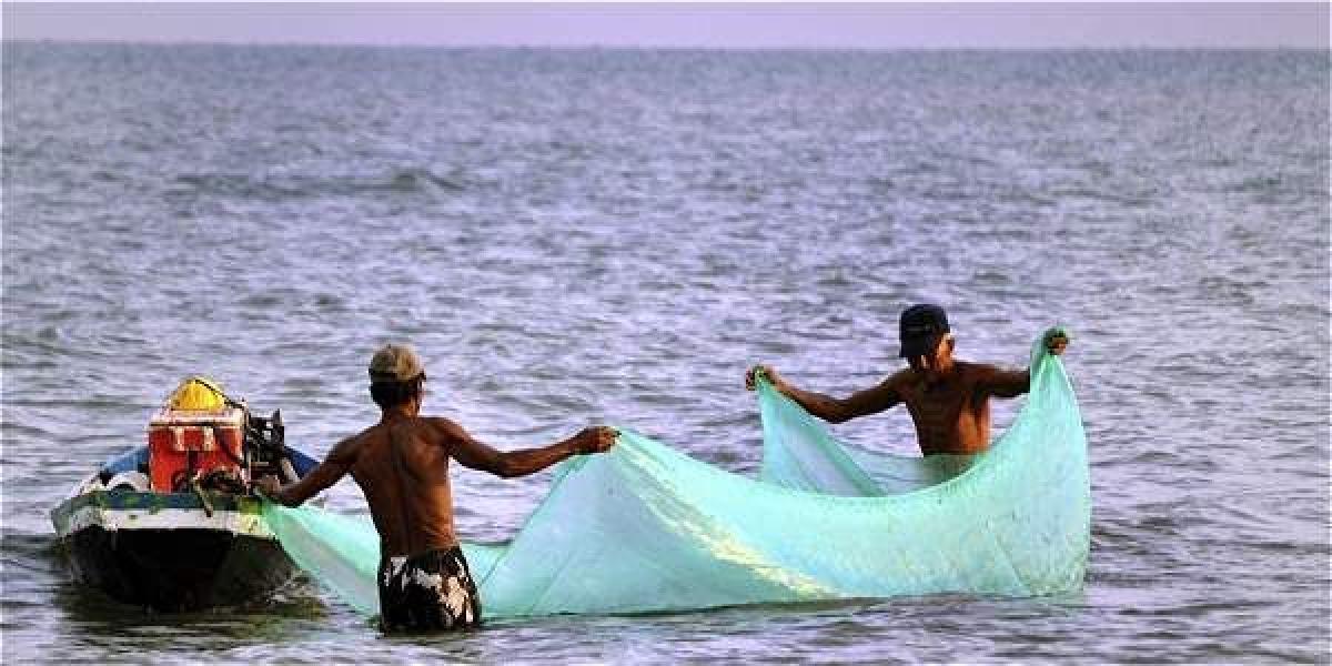 Las cuotas de pesca se vienen fijando en Colombia desde 1991 como una medida administrativa para el manejo de los recursos pesqueros.