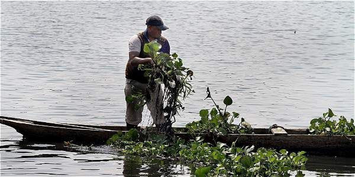 La CRA capacitó, en temas ambientales, a un grupo de pescadores para que sean los guardianes de los caños de Barranquilla.