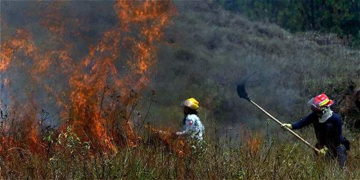 El incendio consumió 50 héctareas de bosque en el cerro Quitasol de Bello, Antioquia.