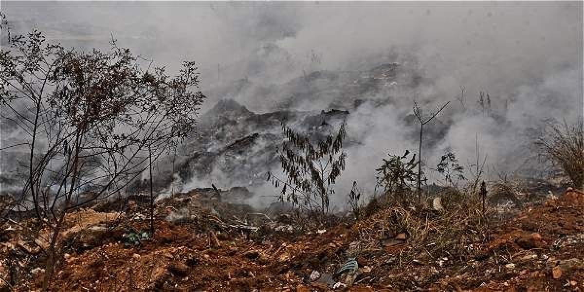 En lo que va corrido de este año se han reportado 14 conatos, 43 quemas y dos incendios forestales.