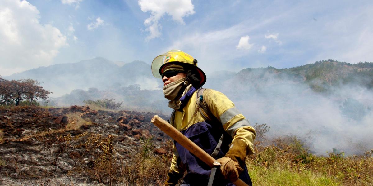 El último incendio consumió casi 100 hectáreas de bosque en el cerro.