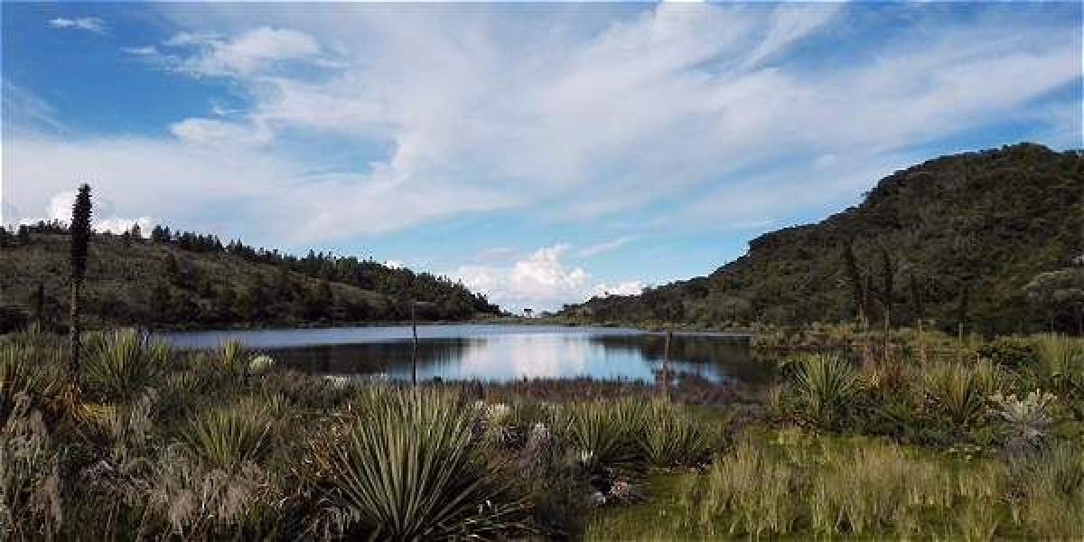 El constante tránsito de turistas al sector de Laguna Verde viene afectado el ecosistema del páramo.
