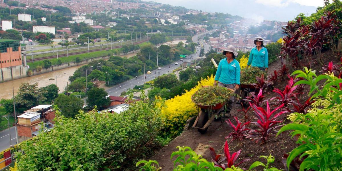 En la parte frontal de El Morro fue plantado un jardín, 25 personas trabajan diariamente en su mantenimiento.
