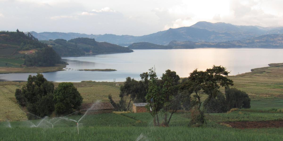 De seguir el desenfrenado deterioro ambiental, la catástrofe en Tota –el lago más grande de Colombia– será irreversible.