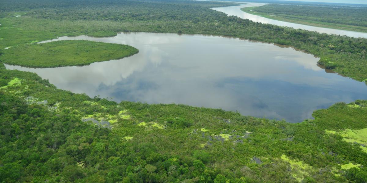 Mantener los ciclos del agua en este gran bioma garantiza la regulación climática del continente.