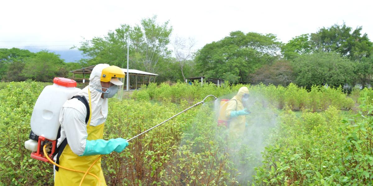 En Colombia el glifosato es usado para combatir los cultivos ilícitos con aspersiones terrestres.