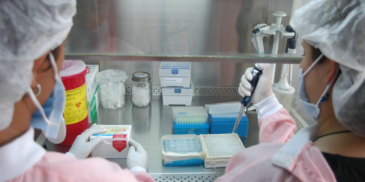 Un grupo de científicos españoles han logrado que virus modificados genéticamente ataquen de forma selectiva a las células tumorales