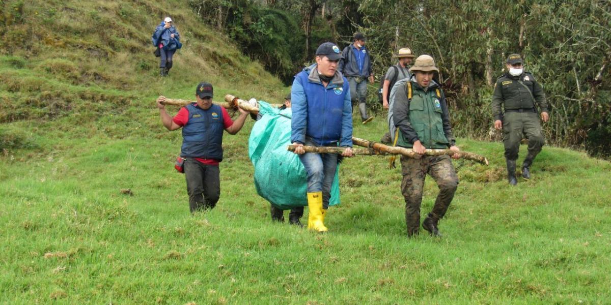 Autoridades transportan el cadáver del oso Andino asesinado cerca a Chingaza.