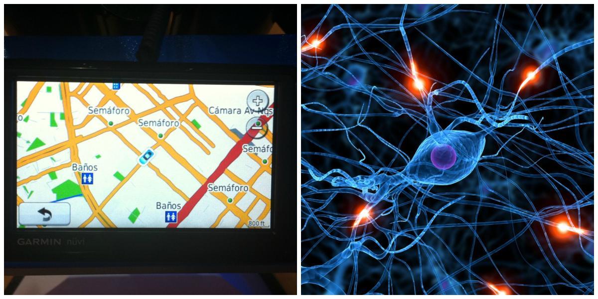 El GPS apaga zonas del cerebro.