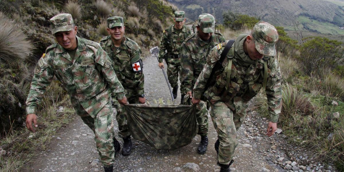 Soldados del Batallón Ayacucho asignados a la base militar de El Gualí en el Parque Nacional Natural de los Nevados trasladan frailejones a zonas seguras para su crecimiento.