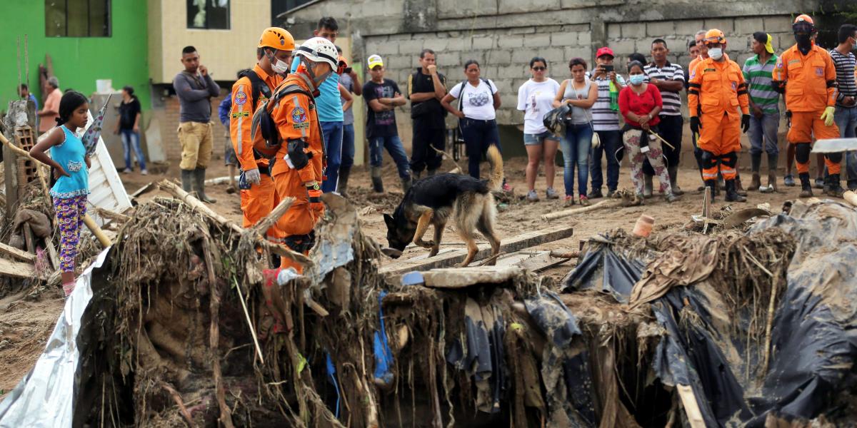 Con la ayuda de perros adiestrados, los socorristas intentan ubicar personas atrapadas debajo de toneladas de escombro.