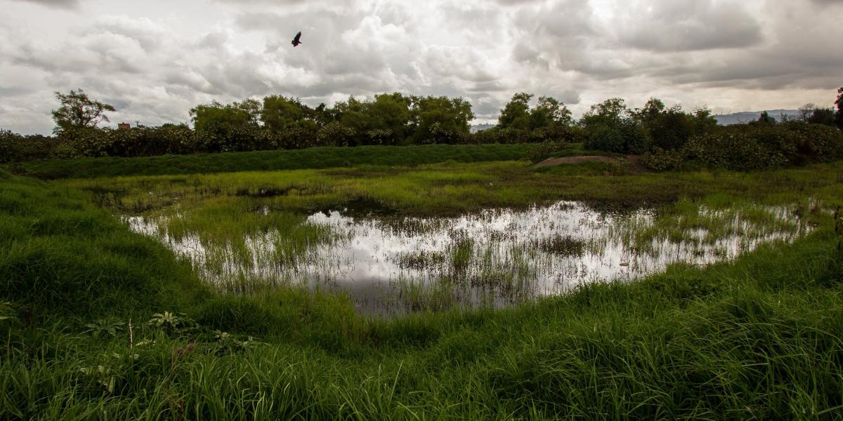 Los cuatro terrenos que se inundarán en el Nuevo Cortijo requieren cerca de 9.700 metros cúbicos de agua.