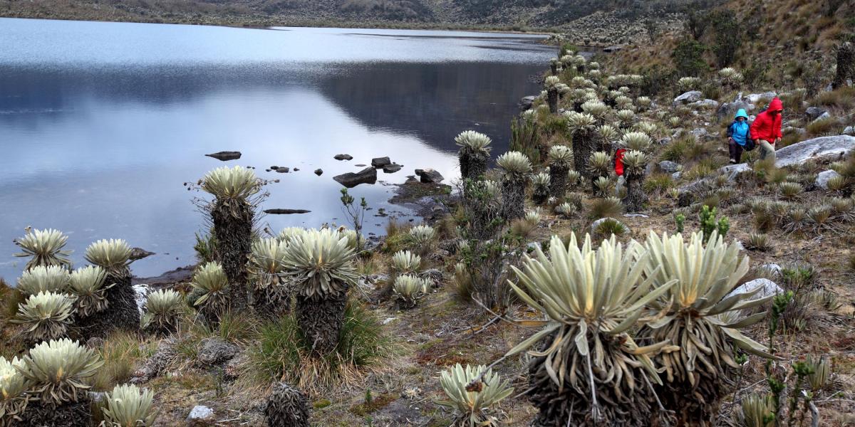 Laguna La Cuadrada en el Valle de Lagunillas, una de las más visitadas del Parque.