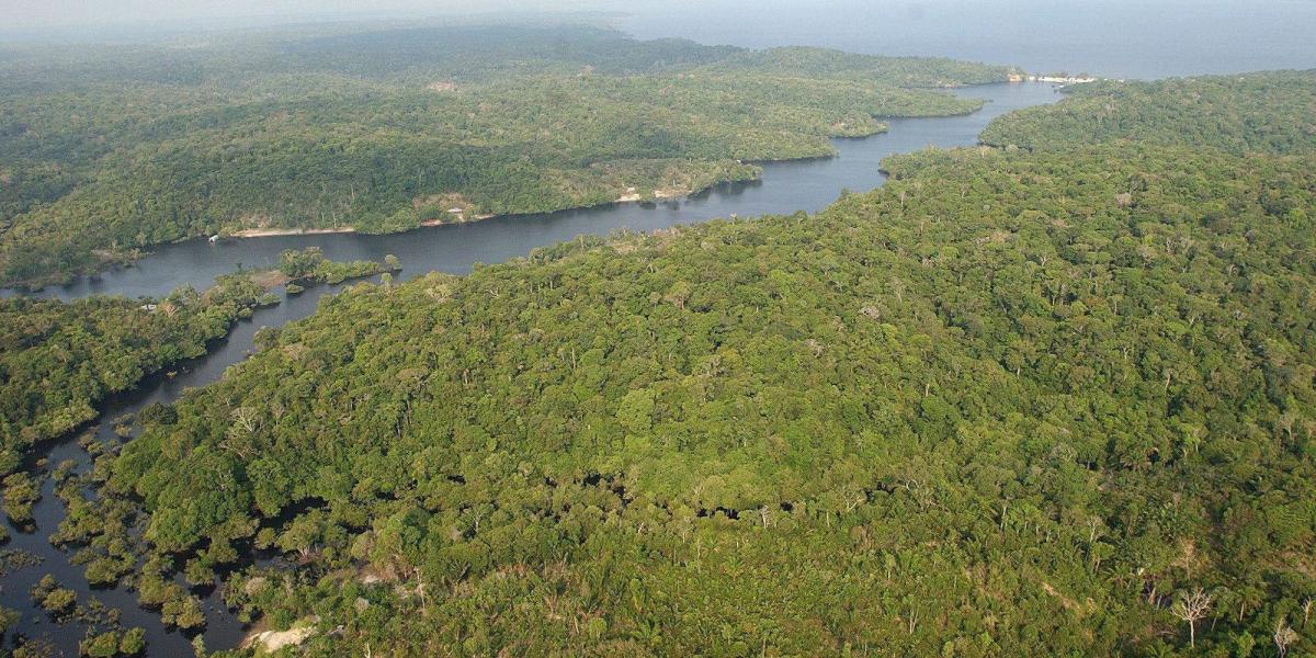 El proyecto Visión Amazonia contempla intervenir cerca de 23 millones de hectáreas en esa parte del bioma colombiano.