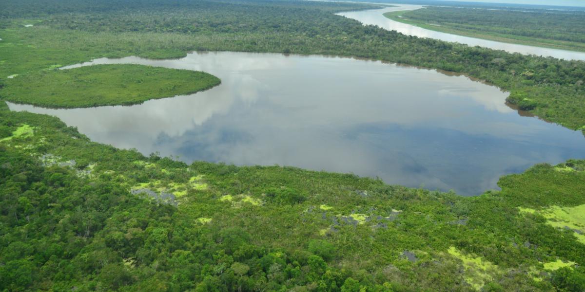 El 20 por ciento de la Amazonia se caracteriza por ecosistemas de humedales.