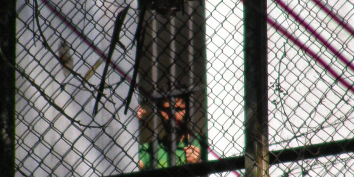 Fotografía del opositor Leopoldo López un mes después de ingresar a prisión.