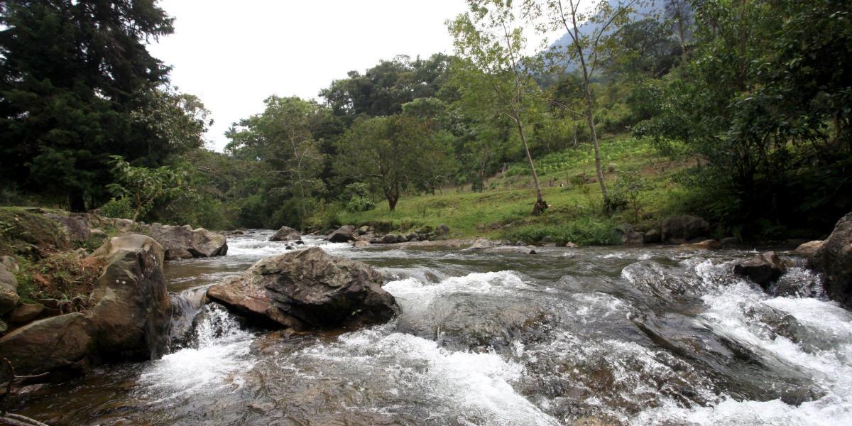 En el Parque Natural Farallones nacen los ríos Cali, Melendez, Cañaveralejo, Pance, Lili y Jamundí, tributarios del Cauca.