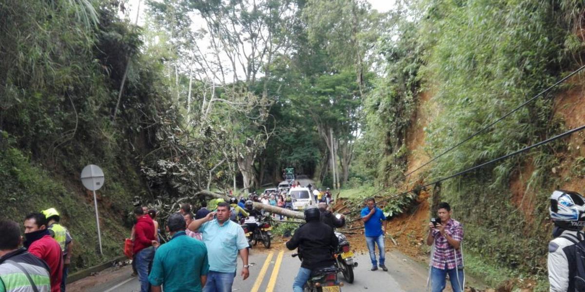 En Quimbaya, un deslizamiento dejó dos lesionados, que quedaron atrapados por un árbol que cayó junto a un alud de tierra.