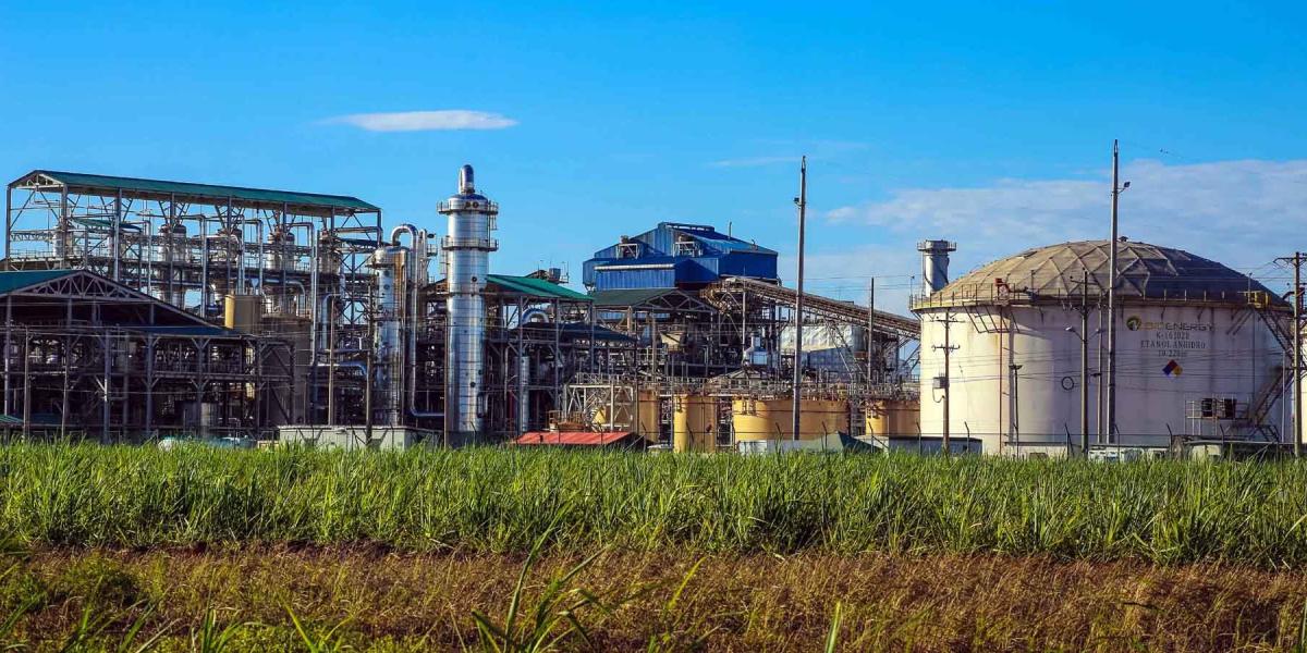 Ecopetrol adquirió el 98 por ciento de las acciones de El Alcaraván a través de la empresa Bioenergy.