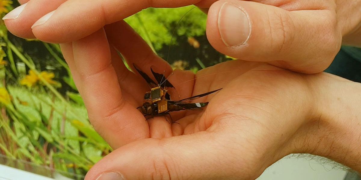 Asi es el dron mas pequeno del mundo