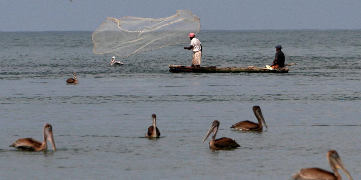 Los pescadores están viendo amenazado su sustento con esta problemática.