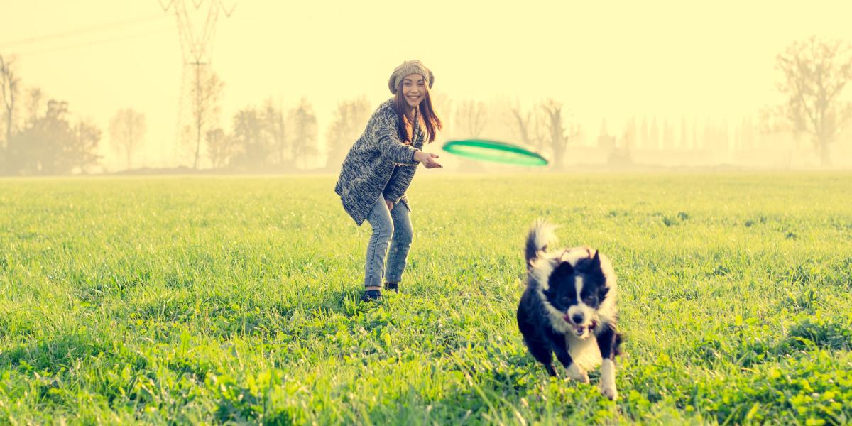 Los paseos y juegos al aire libre le permiten al cachorro explorar y conocer nuevos ruidos y olores.