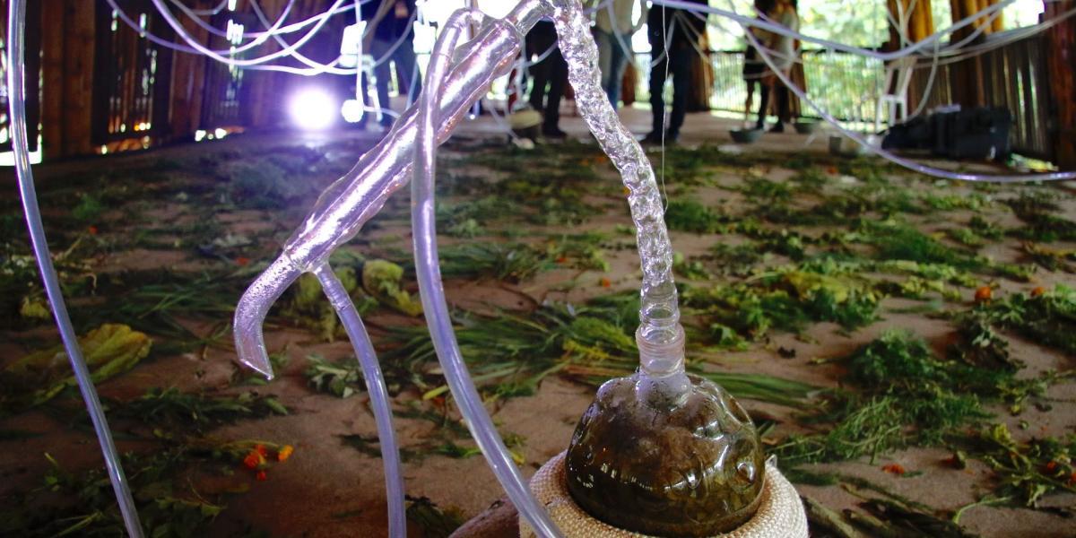 La instalación ‘Transmutación base: Alien-migración’ fue una de las primeras obras artísticas que los asistentes al Festival de la Imagen e Isea 2017 pudieron apreciar el pasado domingo.