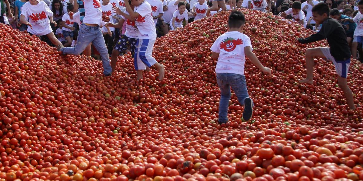 Tomatina en Boyacá