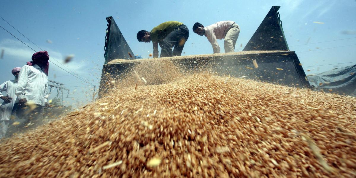 Las exportaciones estadounidenses de granos a Cuba representan el 0,25 % de los 56 millones enviados al exterior por ese país en 2016.